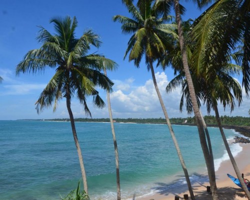 Cool Beach Hotel 2* в Хиккадуве