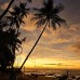 Cool Beach Hotel 2* в Хиккадуве