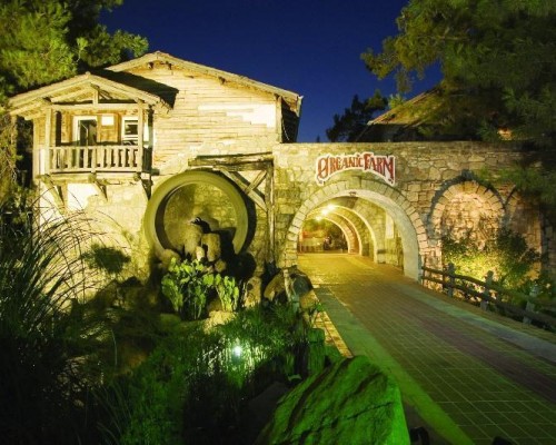 Naturland Forest Resort 5* в Кемере: мой экспертный обзор