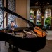 Majestic Elegance Punta Cana — 5* на первой линии в Пунта-Кане
