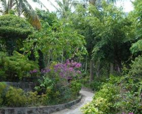 Coi Nguon Phu Quoc Hotel 2* — Фукуок, Вьетнам
