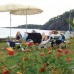 Elize Beach Resort 5* в Кемере: честный разбор отеля от турагента
