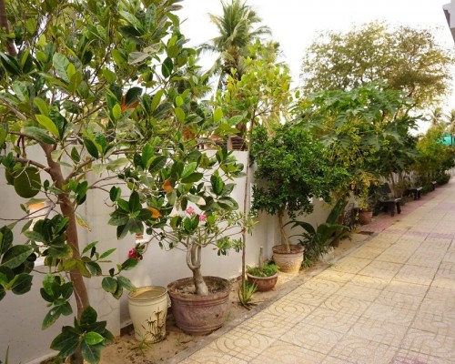 Cat Tien Guesthouse 2* — Фантхьет, первая линия