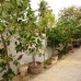 Cat Tien Guesthouse 2* — Фантхьет, первая линия