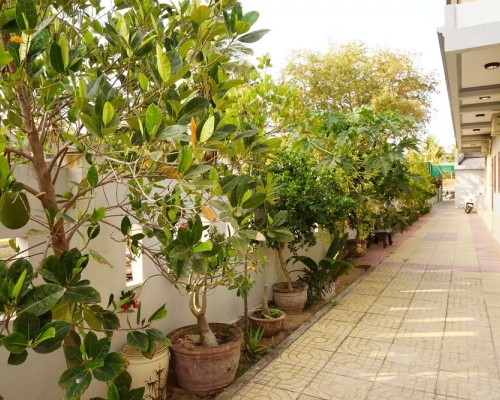 Cat Tien Guesthouse 2* — Фантхьет, первая линия