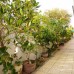 Cat Tien Guesthouse 2* — Фантхьет, первая линия