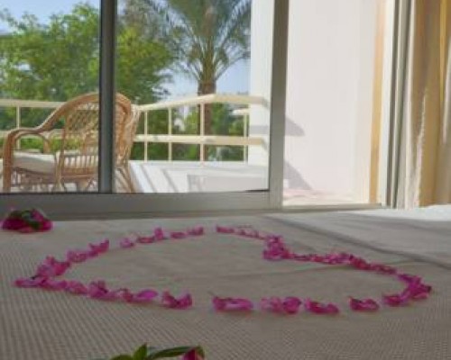Oonas Dive Club & Hotel 3* — Шарм-эль-Шейх, Египет