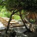 Lang Spa Resort 3* — пляжный отдых в Фантхьете