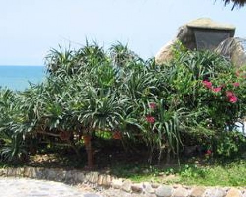 Lang Spa Resort 3* — пляжный отдых в Фантхьете