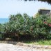Lang Spa Resort 3* — пляжный отдых в Фантхьете