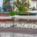 Armas Beach 4* (Кемер, Турция): честный обзор для подбора тура