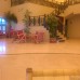 Dessole Nesco Joyous 4* в Шарм-эль-Шейхе