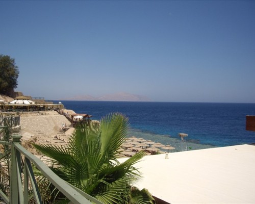 Dessole Nesco Joyous 4* в Шарм-эль-Шейхе