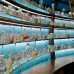 W Abu Dhabi Yas Island — отель 5* на острове Яс в Абу-Даби