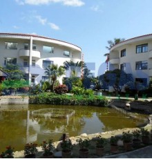 Pearl Seaview 4*