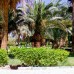 Golden 5 Topaz Suites Hotel 4* — Хургада, Египет
