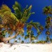 IFA Villas Bavaro Resort & Spa 4* — Пунта-Кана, Доминикана