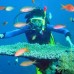 Adam Viet Nam Hotel в Нячанге: что важно знать перед бронированием
