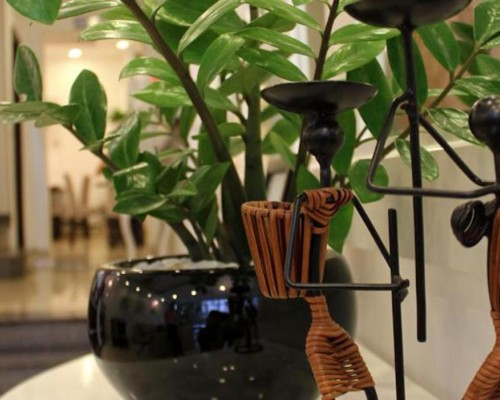 Azura Hotel 2* в Нячанге: что важно знать перед бронированием