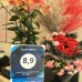 Love Hotel 3* — Нячанг, Вьетнам
