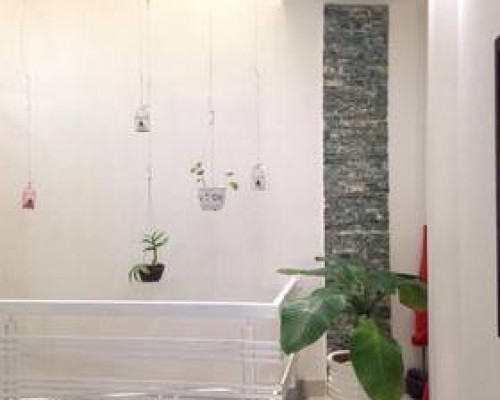 9/5 Cozy House в Нячанге: что важно знать перед бронированием