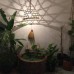 Vivid Seaside Homestay в Нячанге: что это за отель