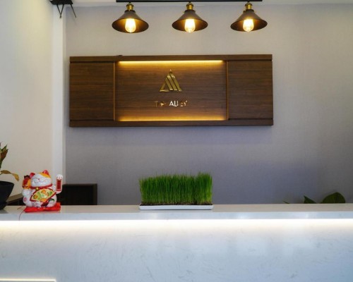 The Alley Hostel в Нячанге — обзор от турагента