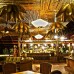 The Light Coral Island Resort в Нячанге
