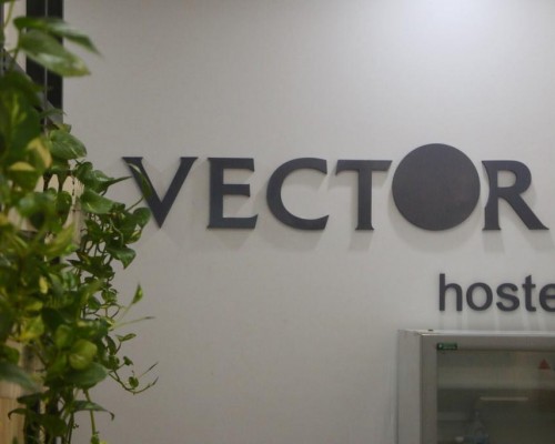 Vector Hostel в Нячанге: что это за место
