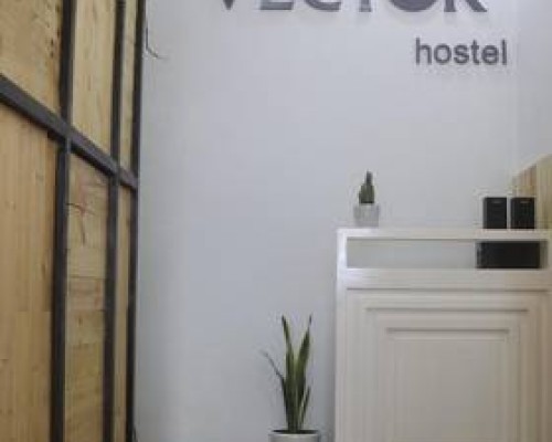 Vector Hostel в Нячанге: что это за место