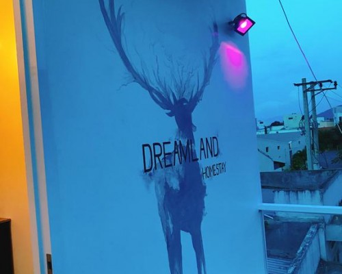 Dreamland Homestay, Нячанг: что это за отель и кому он подойдёт