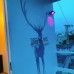 Dreamland Homestay, Нячанг: что это за отель и кому он подойдёт