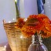 Dreamland Homestay, Нячанг: что это за отель и кому он подойдёт