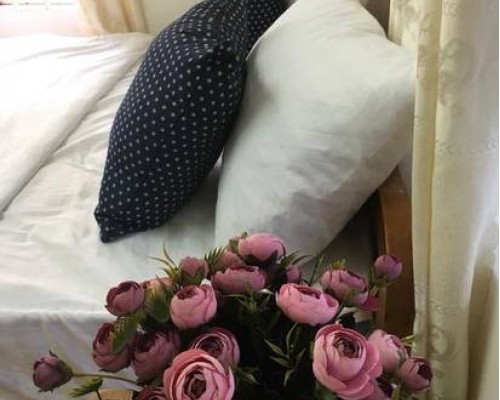 AnAn Homestay в Нячанге: что известно об отеле