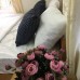 AnAn Homestay в Нячанге: что известно об отеле