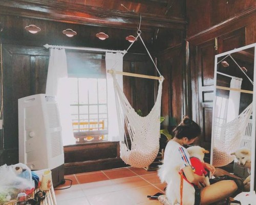 Diagon Alley Homestay, Нячанг: что это за отель и кому он подойдёт