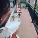 Diagon Alley Homestay, Нячанг: что это за отель и кому он подойдёт