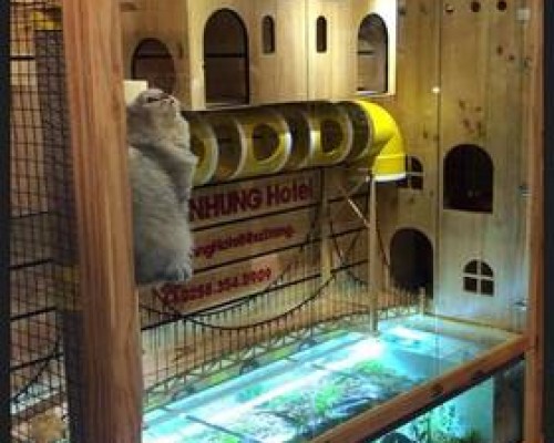 Trang Nhung Hotel Нячанг: обзор отеля на улице Điện Biên Phủ