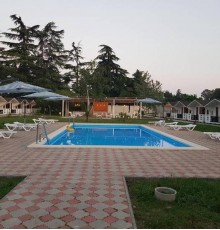 Цитрус 1 3*