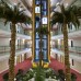 Asia Beach Resort & Spa 5* в Аланье: честный обзор от турагента
