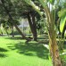 Side Village Hotel 4* в Кумкой: взгляд турагента на отдых