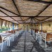 Maxsea Beach Hotel 3* в Тургутреисе: подбор тура у моря