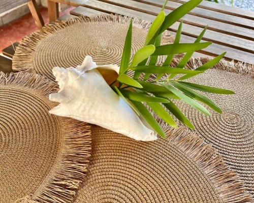 21 Palms B&B 3* — Самана, Доминикана