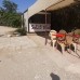 Solis Beach Hotel 4* в Конаклы: взгляд турагента