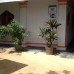 International Beach Hotel & Restaurant, Хиккадува