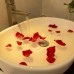Luxor Boutique Hotel Phu Quoc 3* — отель на Фукуоке