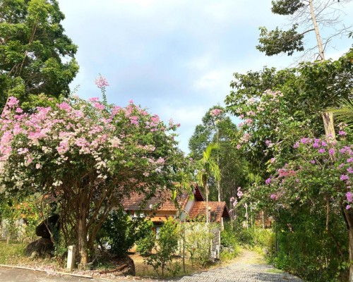 The Garden House Resort Phu Quoc — отель 3* на Фукуоке