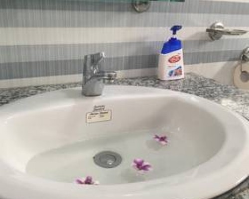 Camellia Resort & Spa 4* на Фукуоке: что важно знать