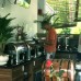 Camellia Resort & Spa 4* на Фукуоке: что важно знать