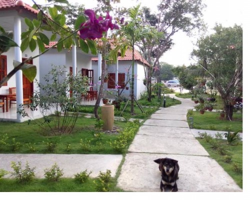 Highland Bungalow на Фукуоке: бунгало в саду недалеко от пляжа